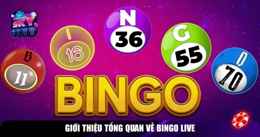 Giới thiệu tổng quan về Bingo Live