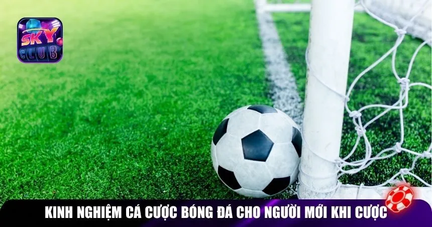 Kinh nghiệm cá cược bóng đá cho người mới khi cược