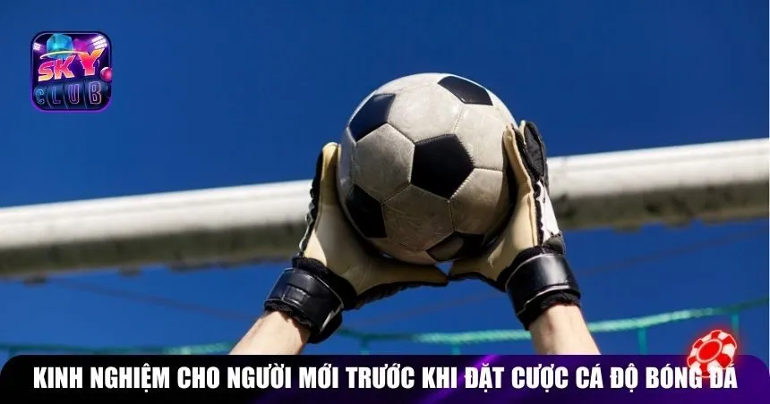 Kinh nghiệm cho người mới trước khi đặt cược cá độ bóng đá