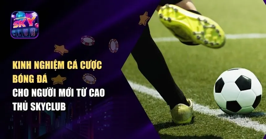 Kinh Nghiệm Cá Cược Bóng Đá Cho Người Mới: Bí Quyết Tránh Thua, Dễ Thắng