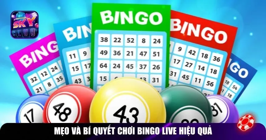 Mẹo và bí quyết chơi Bingo Live hiệu quả