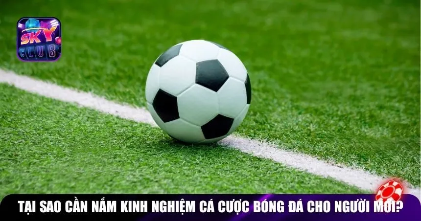 Tầm quan trọng của kinh nghiệm cá cược bóng đá cho người mới